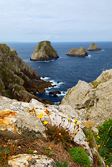 Image showing Atlantic coast in Brittany