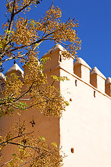 Image showing brown  old ruin in     flower   morocco and sky  near the tower