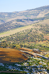 Image showing from high in the cemetery  morocco   constructions