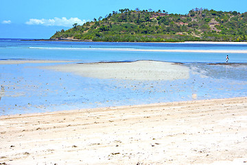 Image showing beautiful andilana beach seaweed  indian ocean  