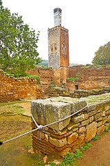 Image showing chellah  in         africa the old roman deteriorated monument  