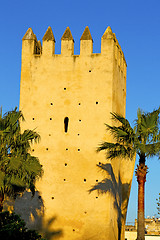 Image showing old ruin in     brown   the tower