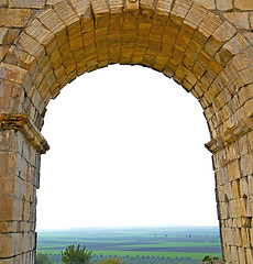 Image showing volubilis in morocco africa the old roman deteriorated monument 