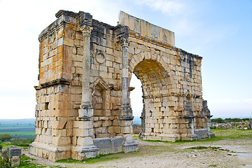 Image showing   in morocco africa the old roman   monument and site