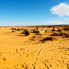 Image showing sahara      africa in morocco  palm the old contruction and  his