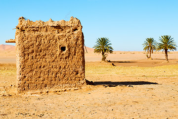 Image showing sahara      africa in morocco  palm 