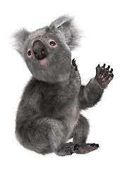 Image showing Koala