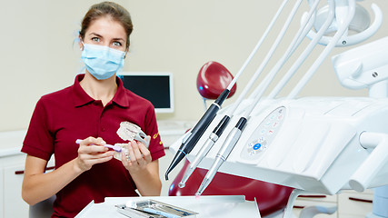 Image showing Dentist doctor
