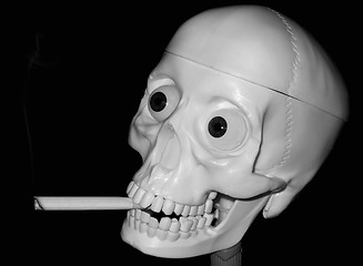 Image showing A smoking skull showing the cigarette effects on health