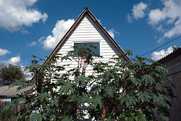 Image showing roof of the house