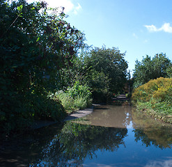 Image showing water and trees