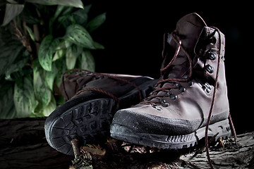 Image showing Hiking Boots