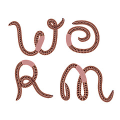 Image showing Animal Earth Red Worms