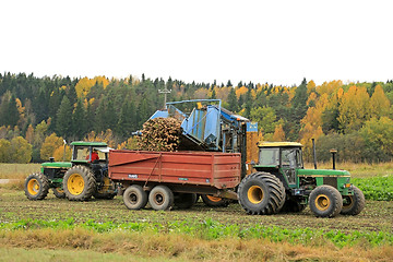 Image showing Sugar Beet Harvest in October