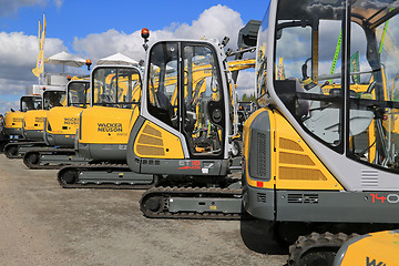 Image showing Wacker Neuson Compact Excavators Lined up