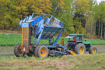 Image showing Sugar Beet Harvest in October