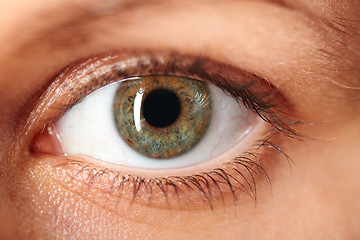 Image showing Macro image of human eye