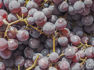 Image showing Red grape fruits