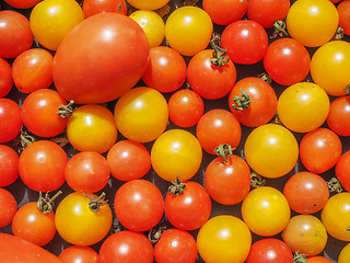 Image showing Cherry tomato vegetables background