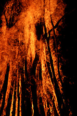 Image showing Campfire flames
