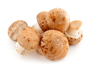 Image showing Brown mushrooms