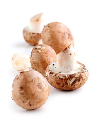 Image showing Brown mushrooms