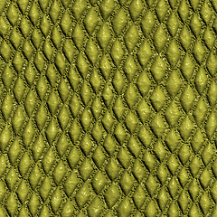 Image showing Snake skin