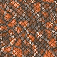 Image showing Snake skin