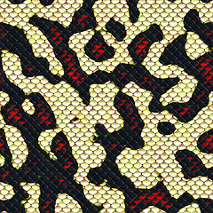 Image showing Snake skin