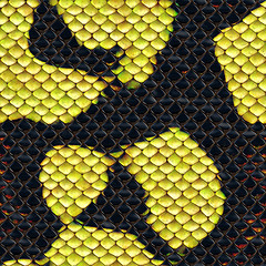 Image showing Snake skin