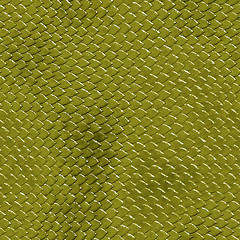 Image showing Snake skin