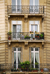 Image showing Paris windows