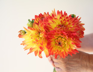 Image showing man holds orange and yellow dahlia bouquet
