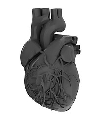 Image showing Human heart