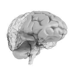 Image showing Creative concept of the human brain