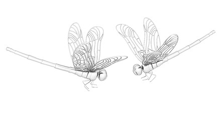 Image showing Dragonfly