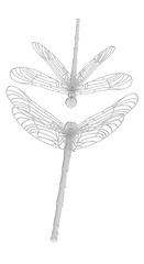 Image showing Dragonfly