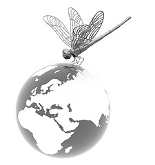 Image showing Dragonfly on earth