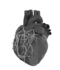 Image showing Human heart