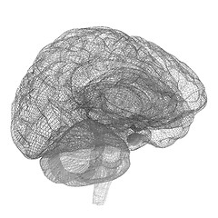 Image showing Creative concept of the human brain