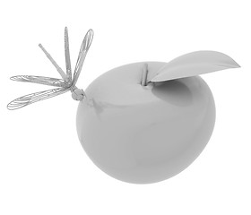 Image showing Dragonfly on apple