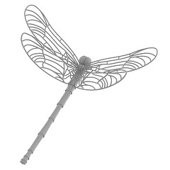 Image showing Dragonfly