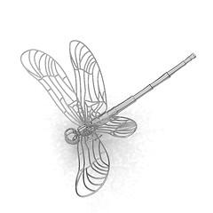 Image showing Dragonfly