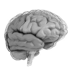 Image showing Creative concept of the human brain