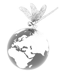 Image showing Dragonfly on earth