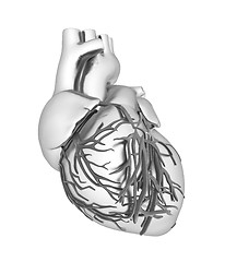 Image showing Human heart