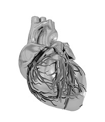 Image showing Human heart