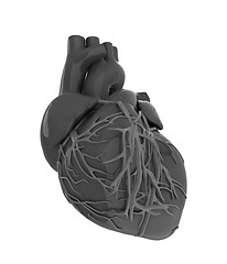 Image showing Human heart