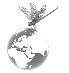 Image showing Dragonfly on earth