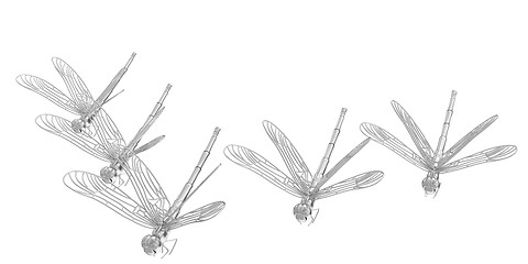 Image showing Dragonflies